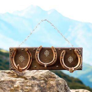 "BRONZE" ~ Three Hook Horseshoe Hatrack by Gunney Klippelt