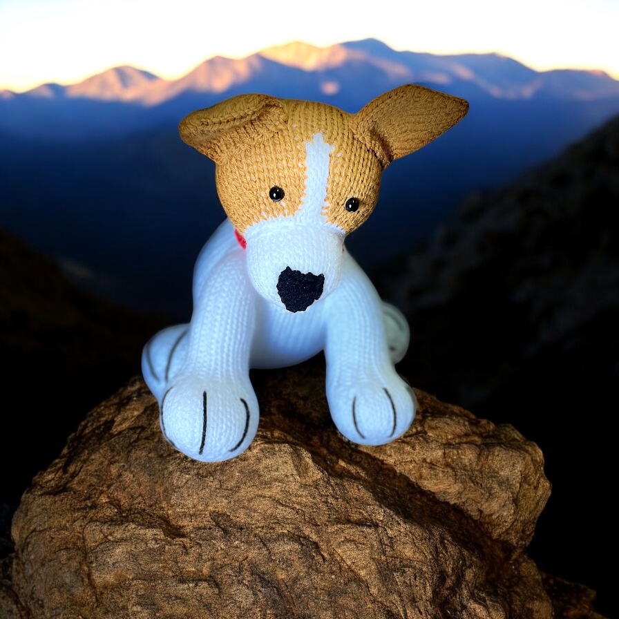 "TAN HEELER" ~ Hand Knitted Soft Toy by Lee Stewart - Image 6