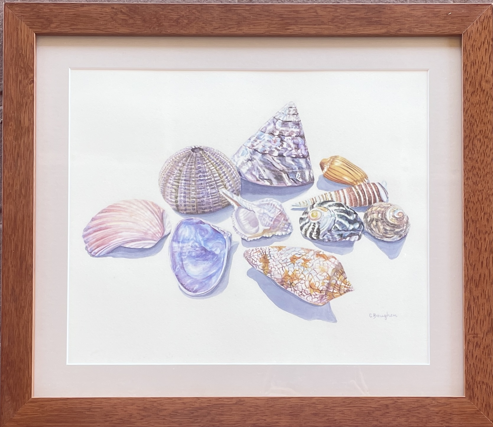 "SHELL COLLECTION 2" ~ Original Watercolour Painting - Image 3