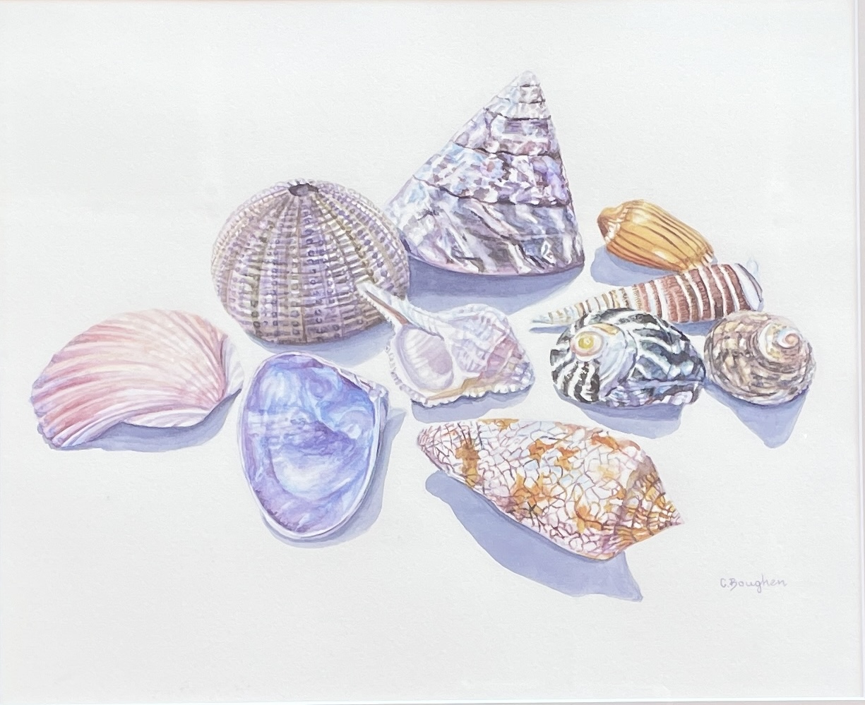"SHELL COLLECTION 2" ~ Original Watercolour Painting - Image 4