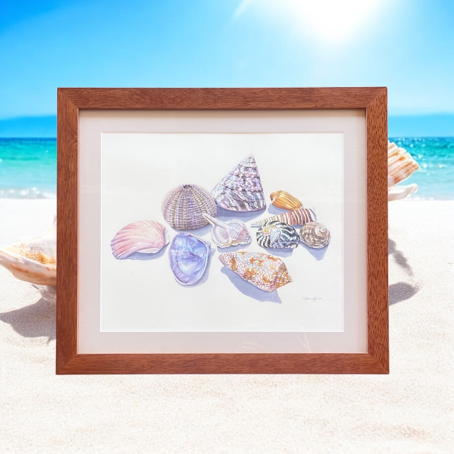 "SHELL COLLECTION 2" ~ Original Watercolour Painting - Image 5