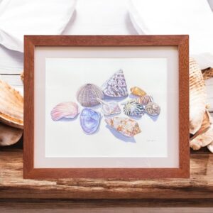 "SHELL COLLECTION 2" ~ Original Watercolour Painting