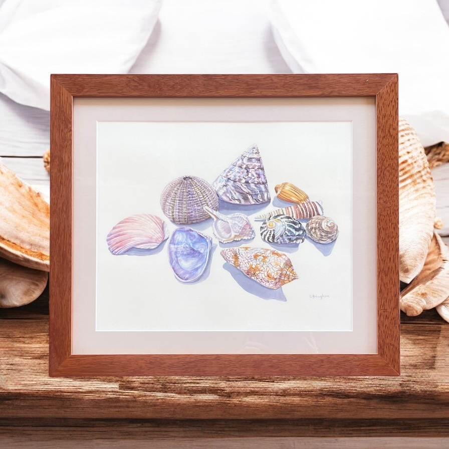 "SHELL COLLECTION 2" ~ Original Watercolour Painting