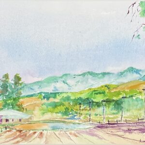 "LATE AFTERNOON - STANTHORPE QLD" ~ Original Watercolour Painting by Allan English