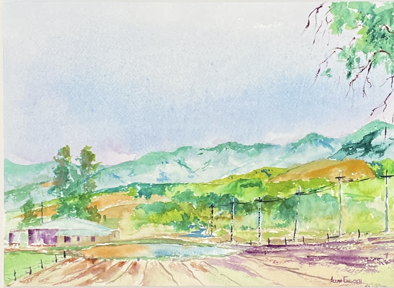 "LATE AFTERNOON - STANTHORPE QLD" ~ Original Watercolour Painting by Allan English