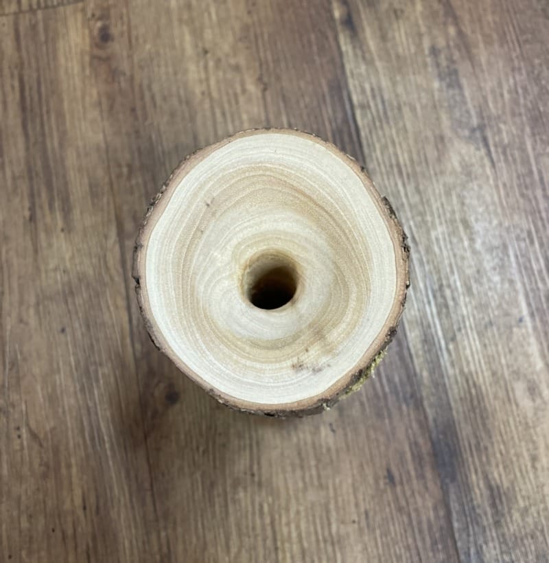 Hand Turned Vase in Camphor Laurel with Live Edge - Image 4