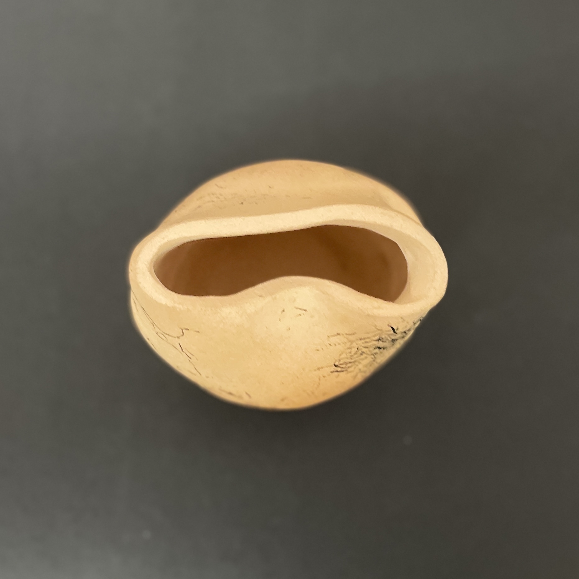"PINCH POT #3" ~ Hand Built Pottery by Debbie Grant - Image 2