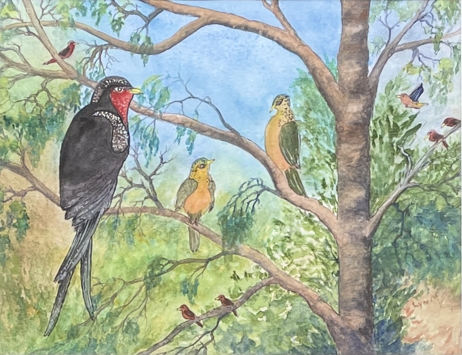 "NATURE'S AVIARY" - Original Gouache Painting by Lyn Mason - Image 4