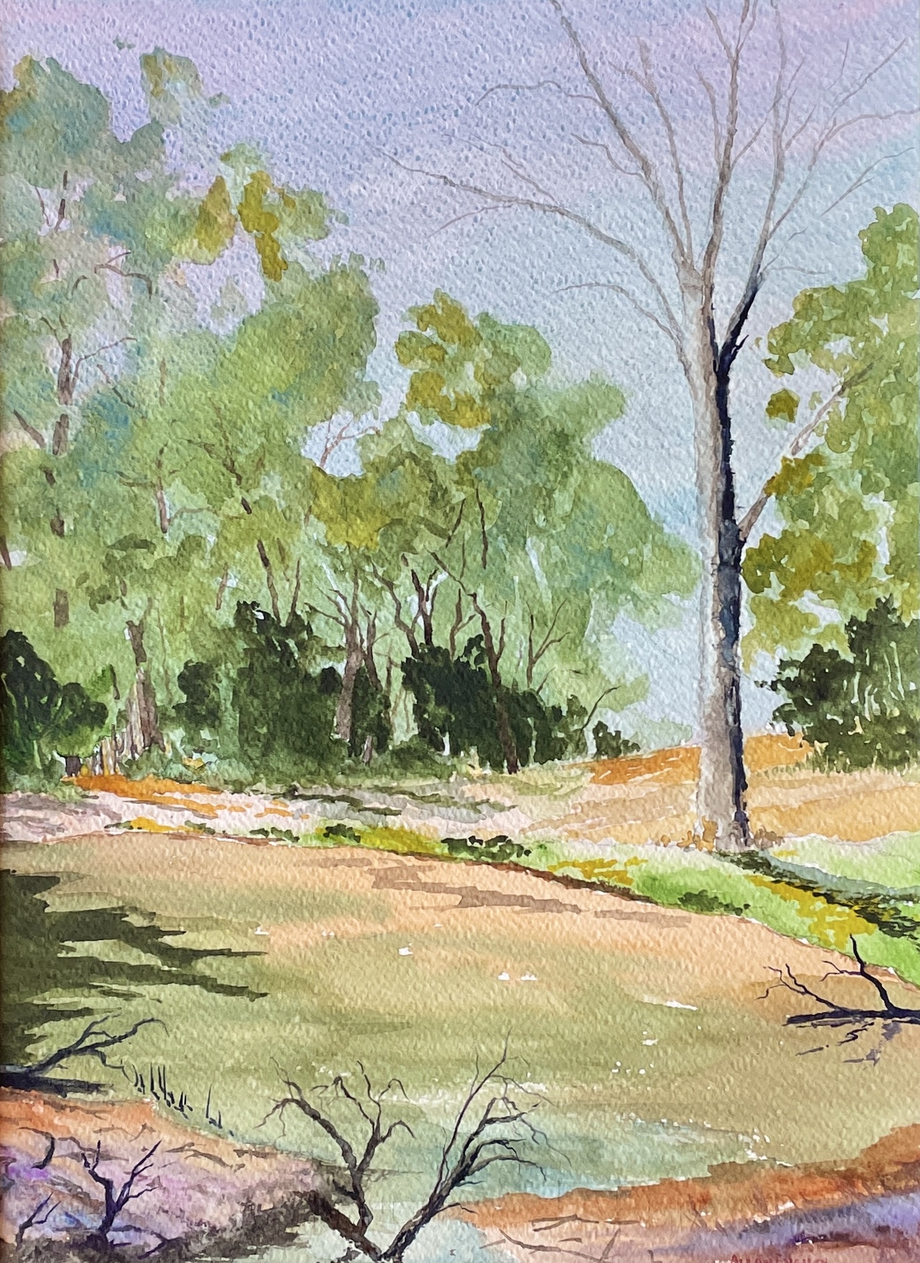 "EDWARD RIVER BILLABONG" ~ Original Watercolour Painting by Allan English - Image 3