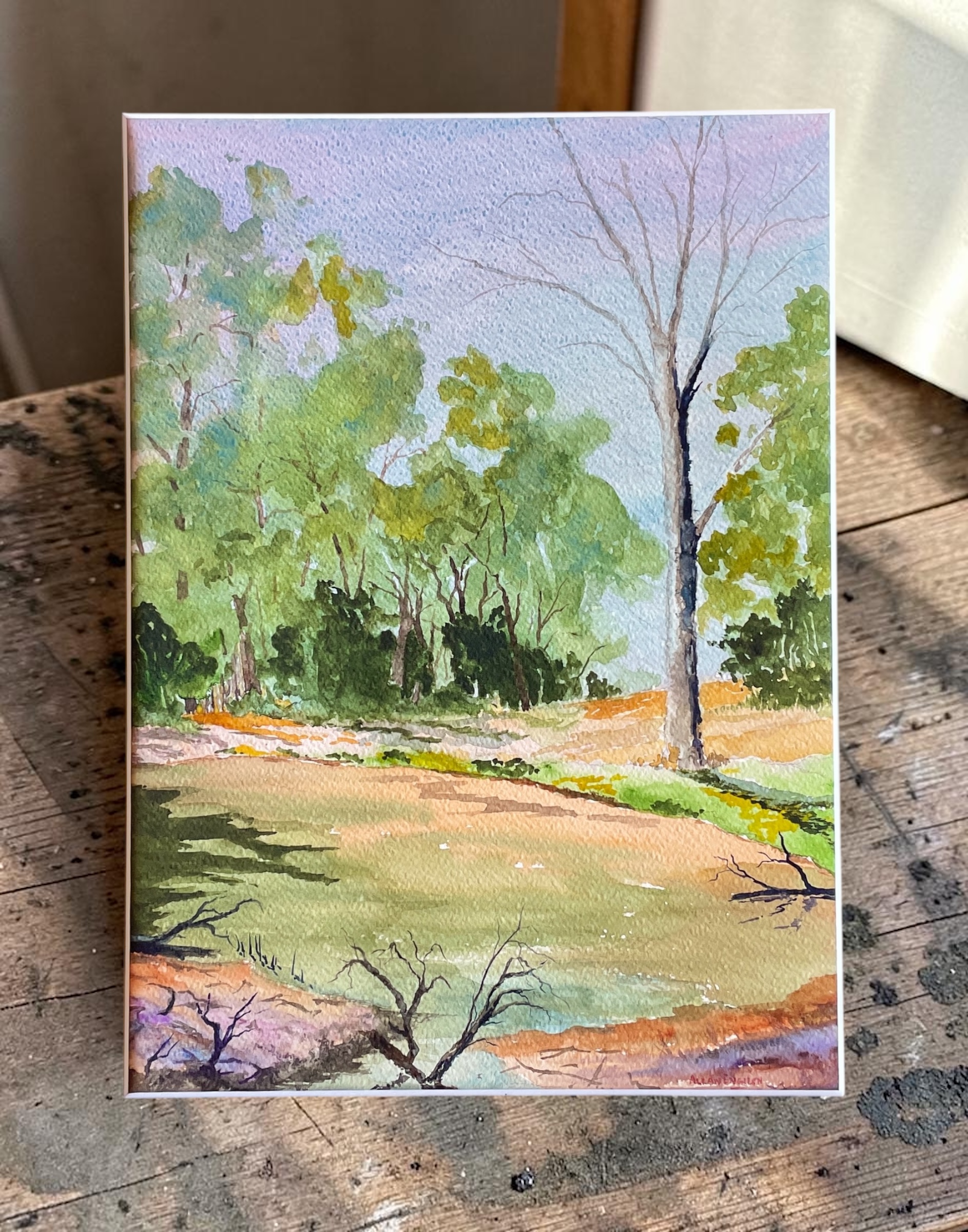 "EDWARD RIVER BILLABONG" ~ Original Watercolour Painting by Allan English - Image 5