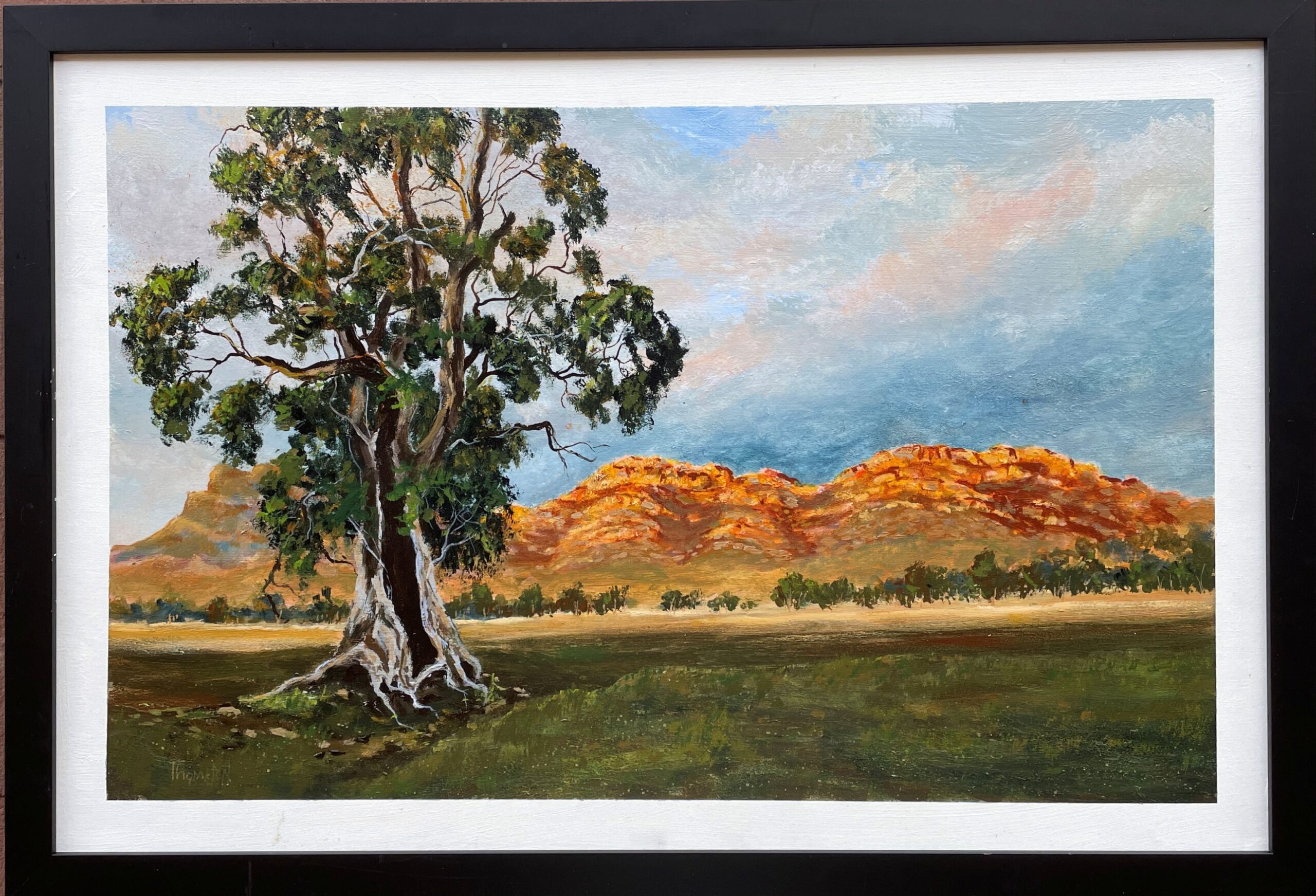 "CAZNEAUX TREE ~ FLINDERS RANGES" Original Acrylic Painting by Tom Mason - Image 3