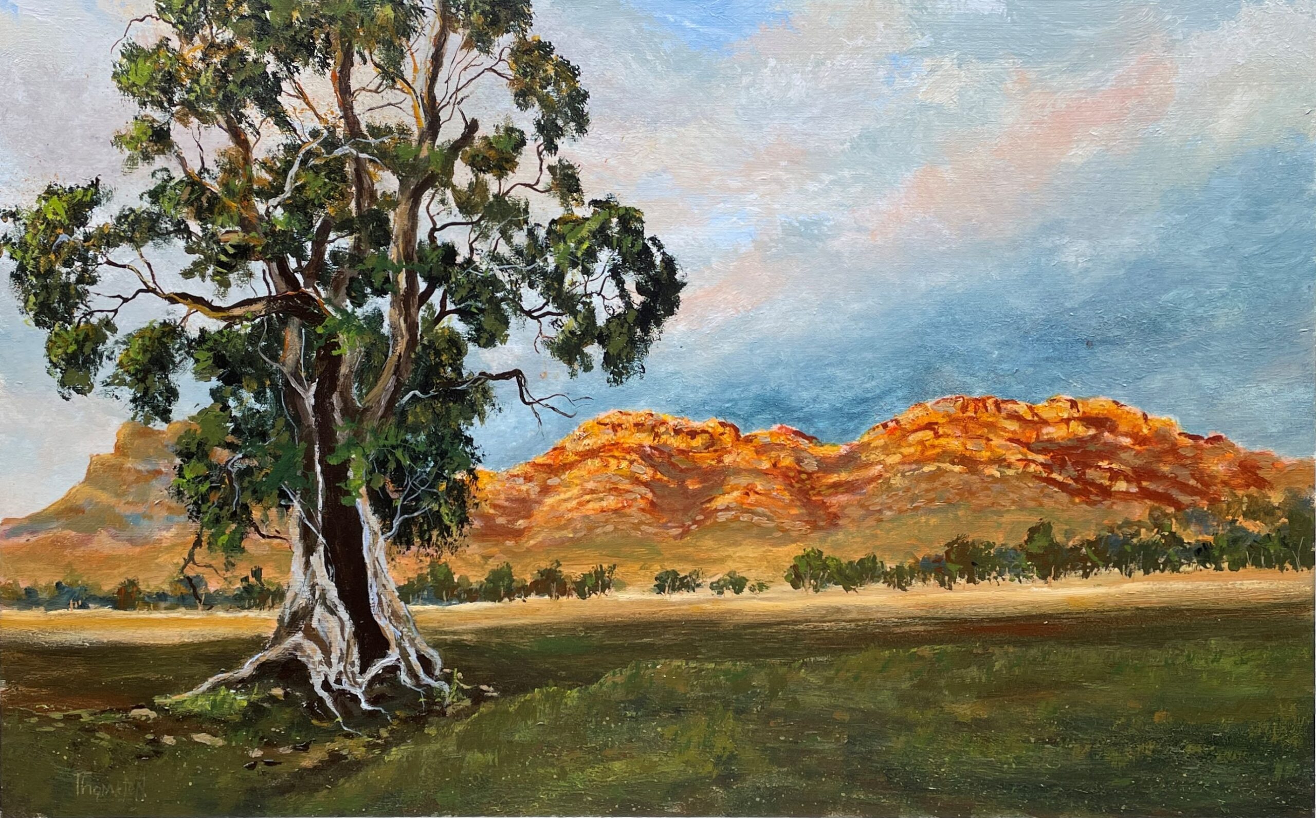 "CAZNEAUX TREE ~ FLINDERS RANGES" Original Acrylic Painting by Tom Mason - Image 4