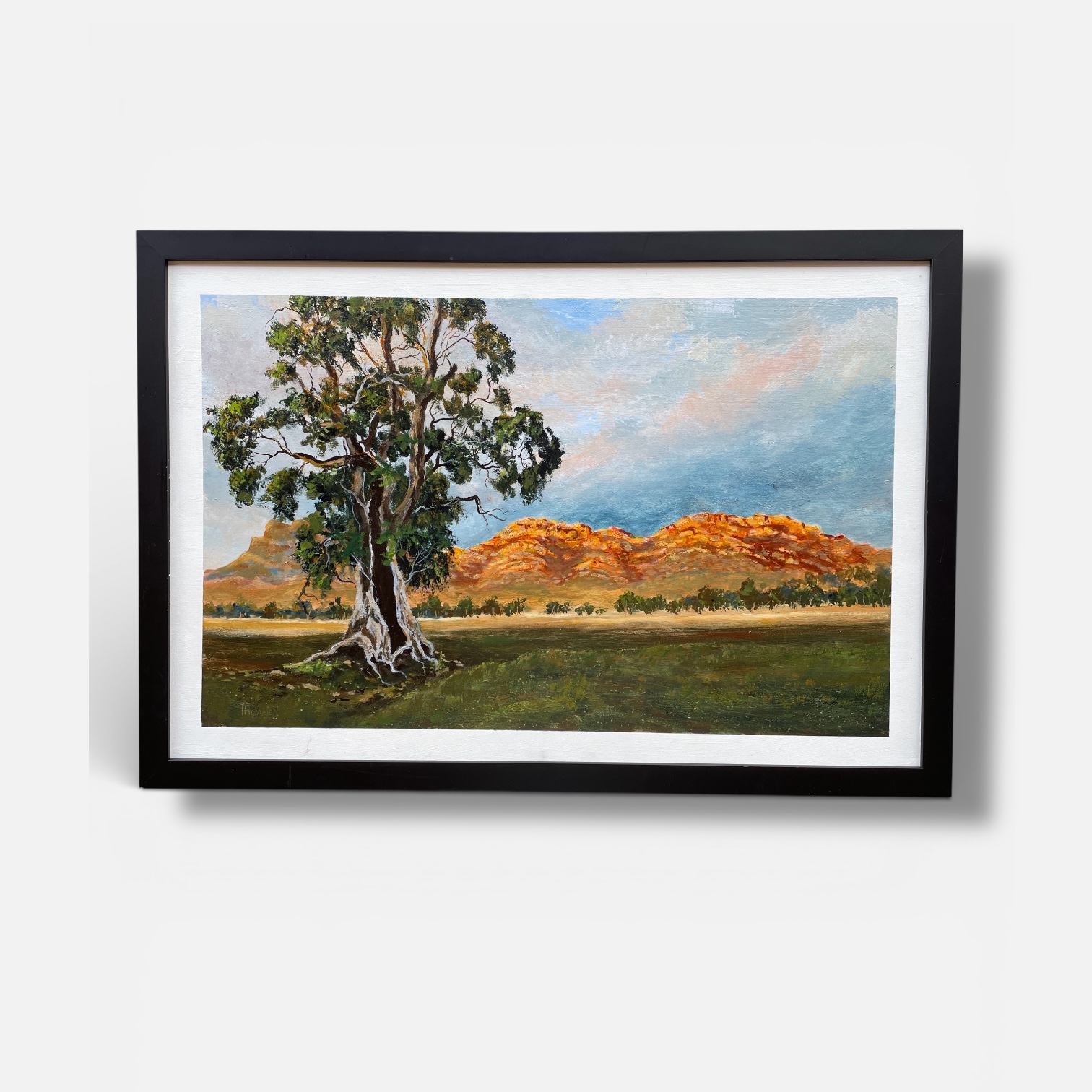 "CAZNEAUX TREE ~ FLINDERS RANGES" Original Acrylic Painting by Tom Mason - Image 5