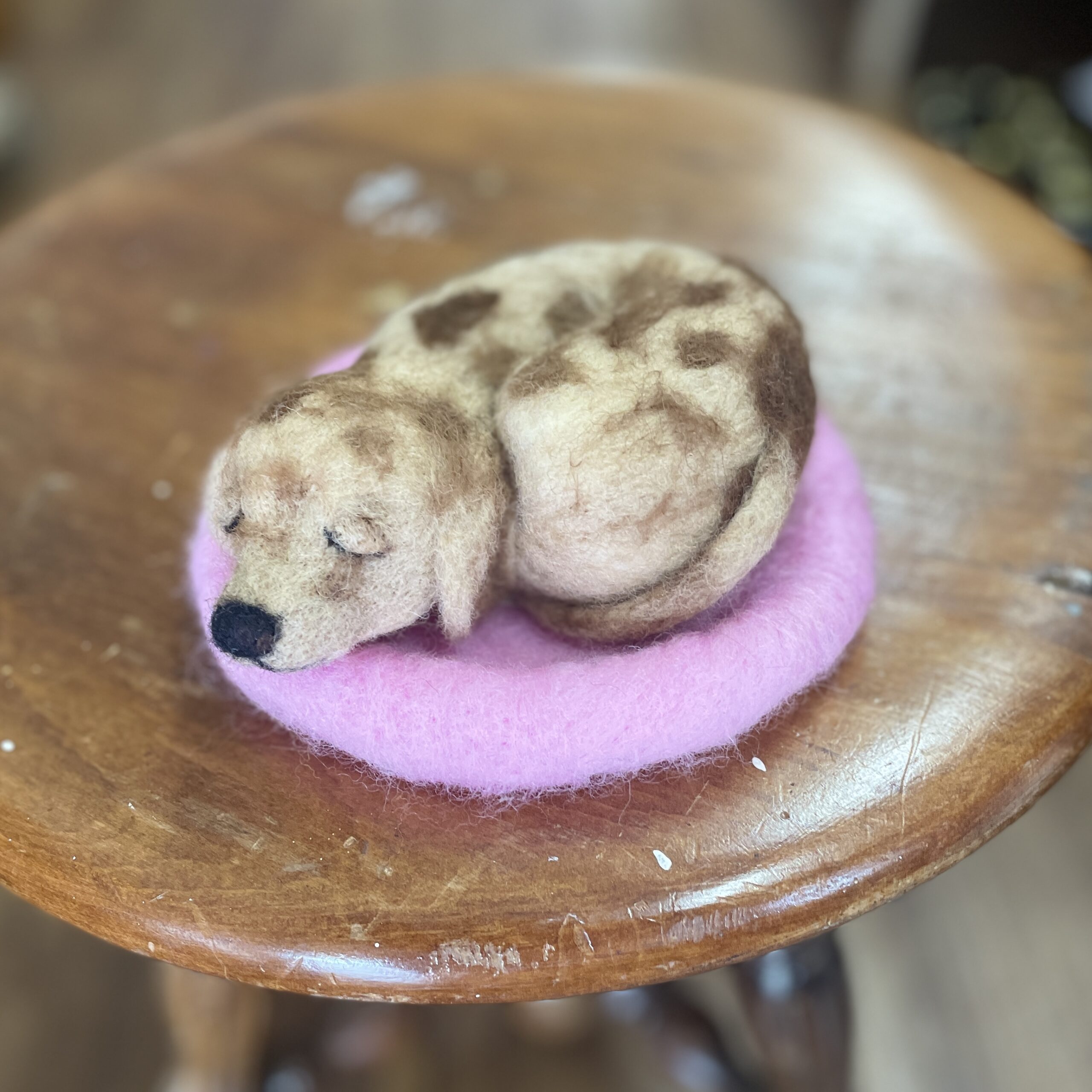 "SLEEPING PUPPY #9" ~ Needle Felted by Jan Woodhouse - Image 2