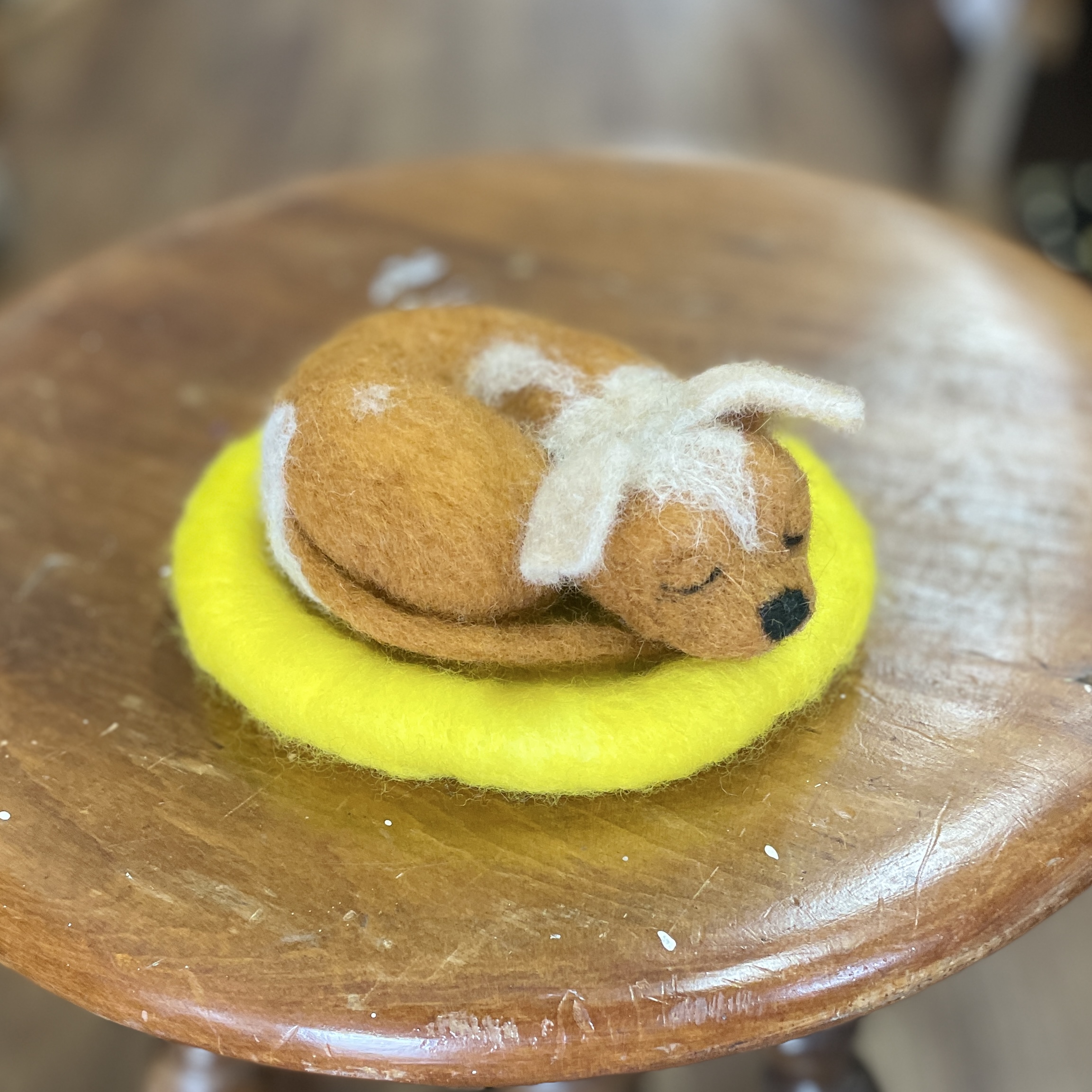 "SLEEPING PUPPY #15" ~ Needle Felted by Jan Woodhouse - Image 2