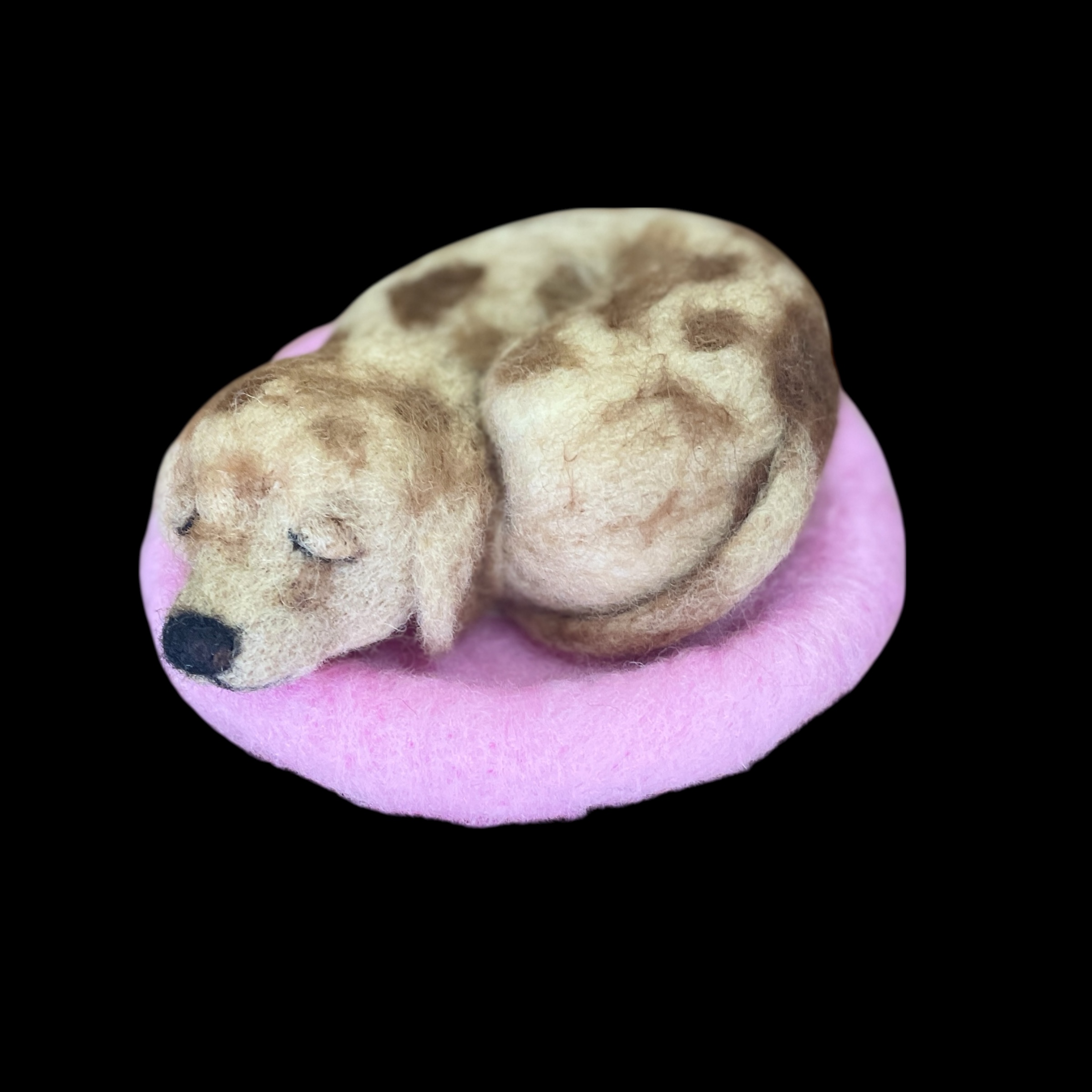"SLEEPING PUPPY #9" ~ Needle Felted by Jan Woodhouse - Image 3