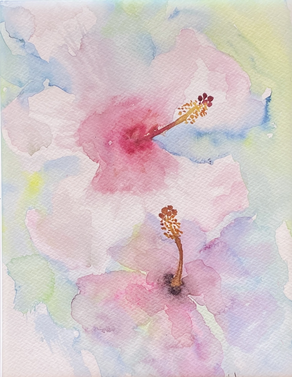 "ETHERAL HIBISCUS" ~ Original Watercolour Painting by Susan Wellingham - Image 4