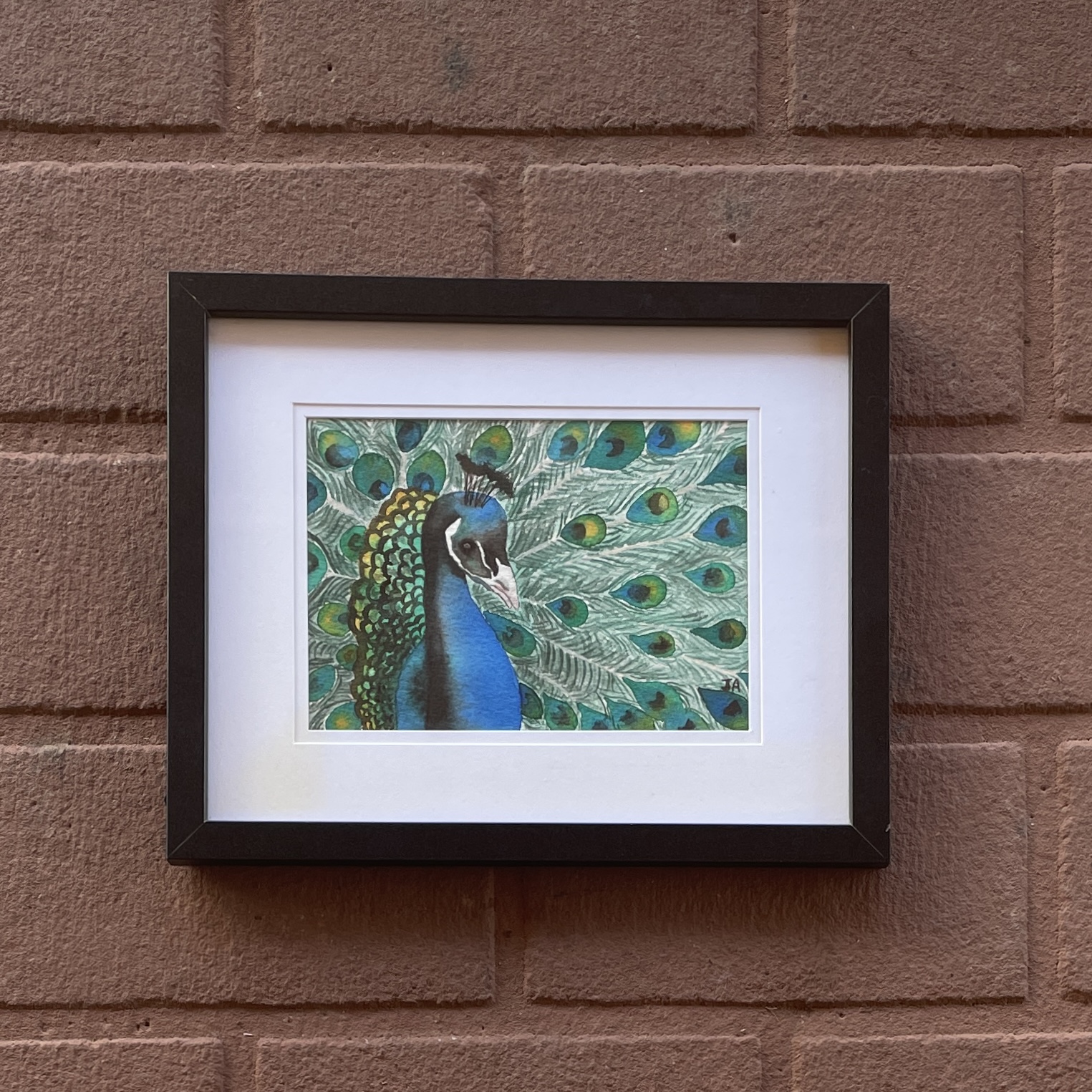 "PEACOCK PRIDE" ~ Original Watercolour Painting by Julie Burton-Jones - Image 6