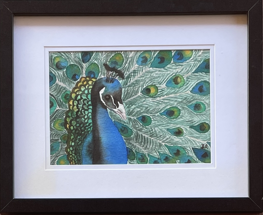 "PEACOCK PRIDE" ~ Original Watercolour Painting by Julie Burton-Jones - Image 5