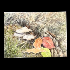 "NATURES NICHE" ~ Original Watercolour Painting by Lyn Mason