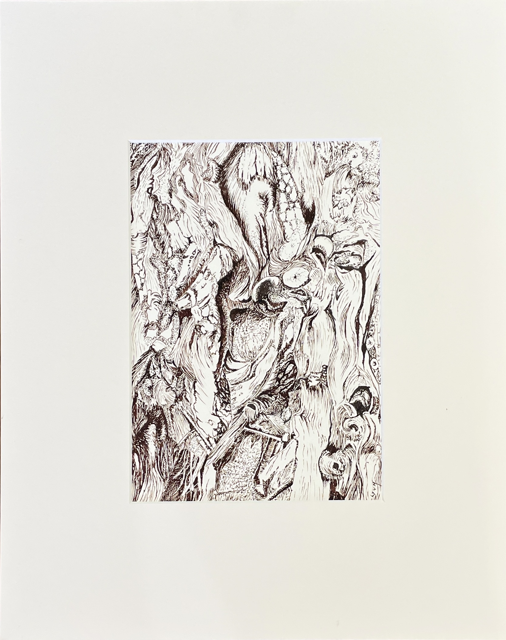 "PATTERNS IN BARK" ~ Original Ink Drawing by Lyn Mason - Image 2