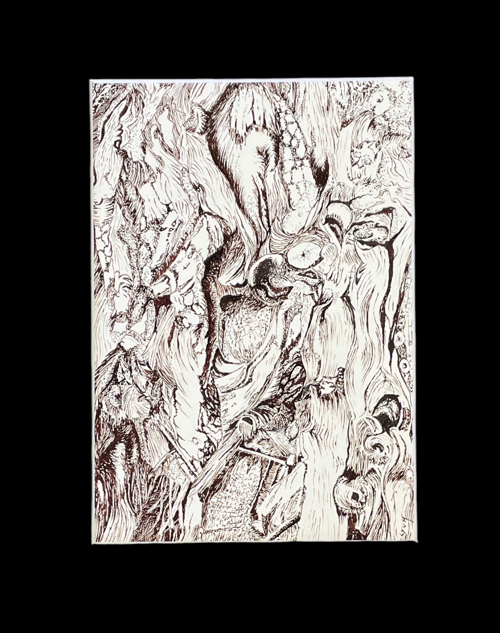 "PATTERNS IN BARK" ~ Original Ink Drawing by Lyn Mason - Image 5