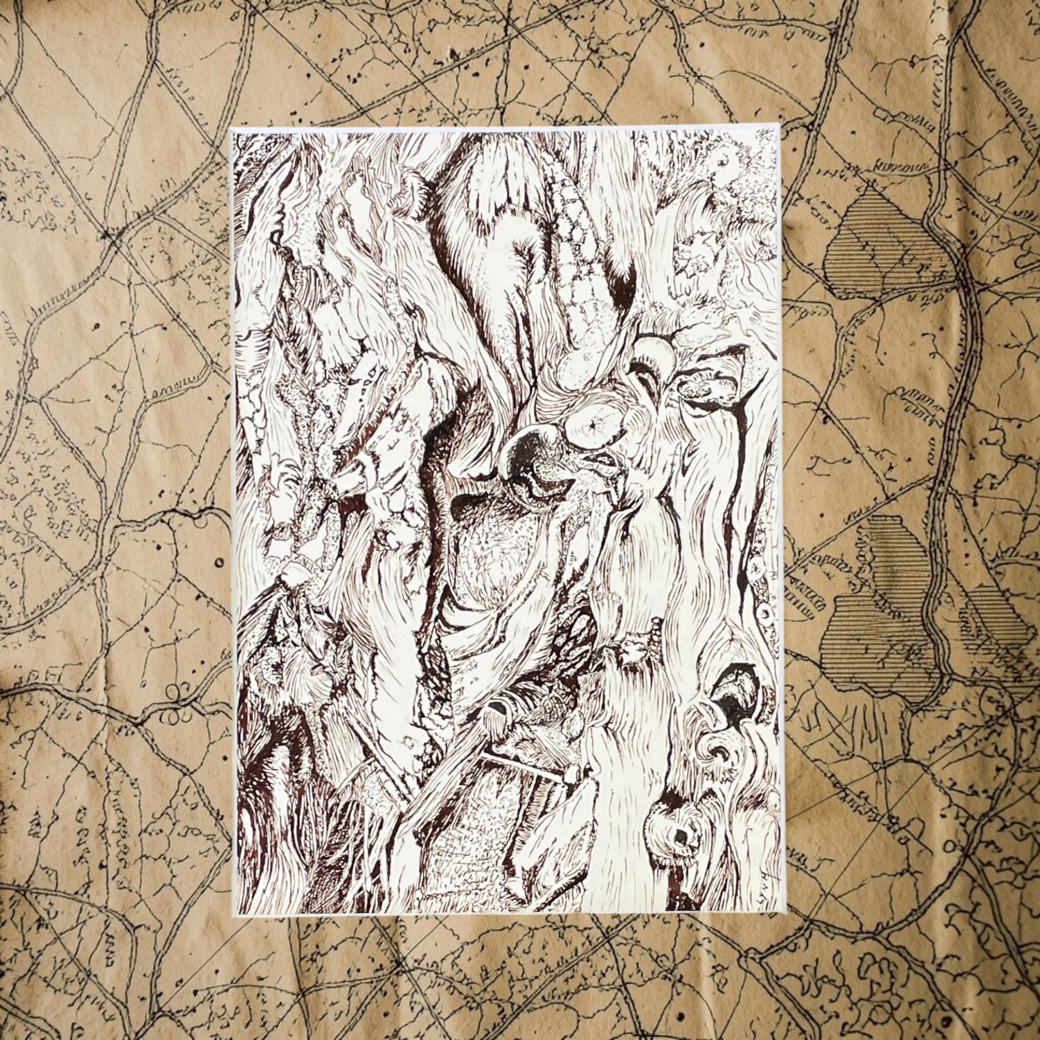 "PATTERNS IN BARK" ~ Original Ink Drawing by Lyn Mason - Image 6