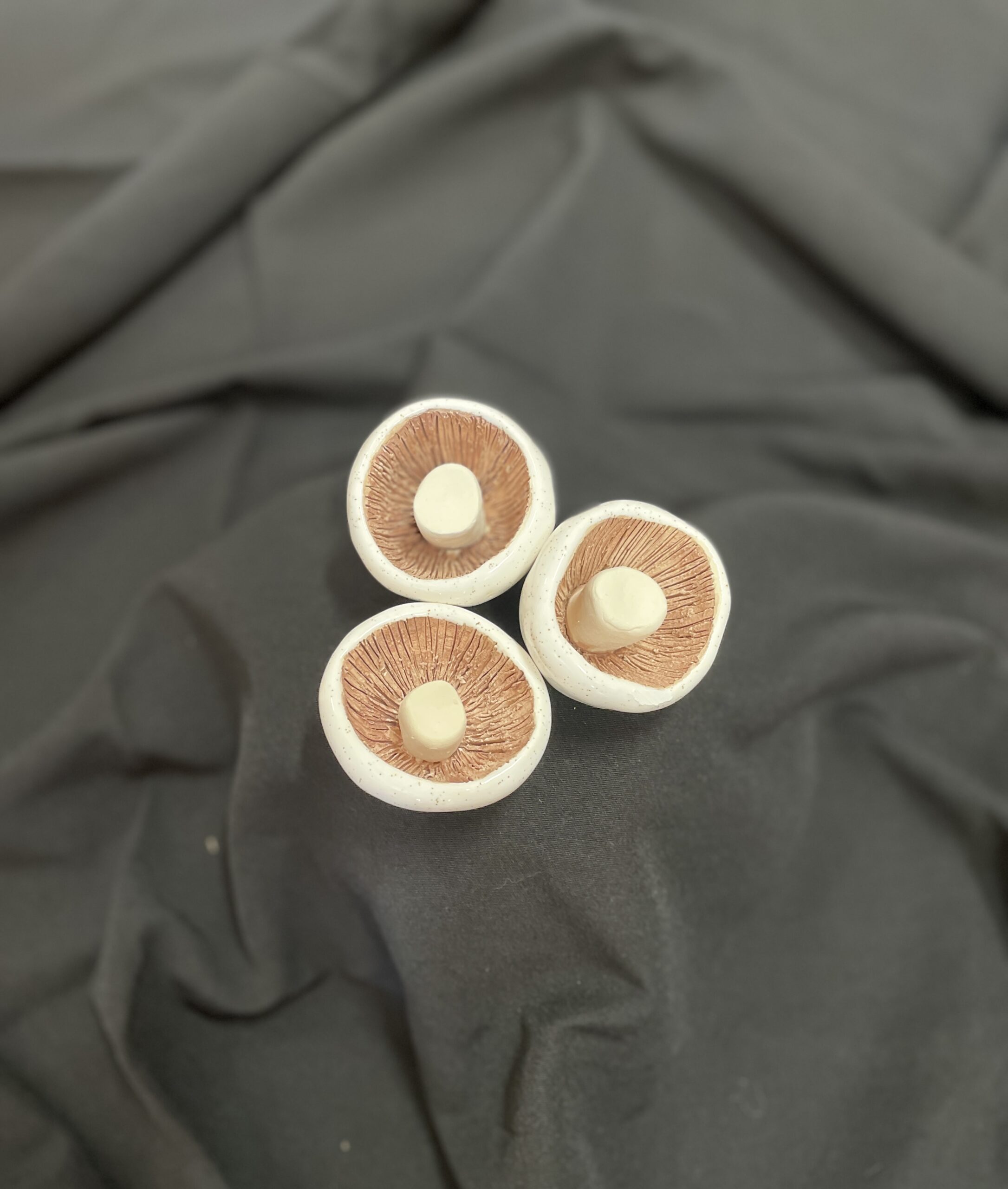 "THREE POTTERY MUSHROOMS" ~ Hand Built Pottery by Debbie Grant - Image 3