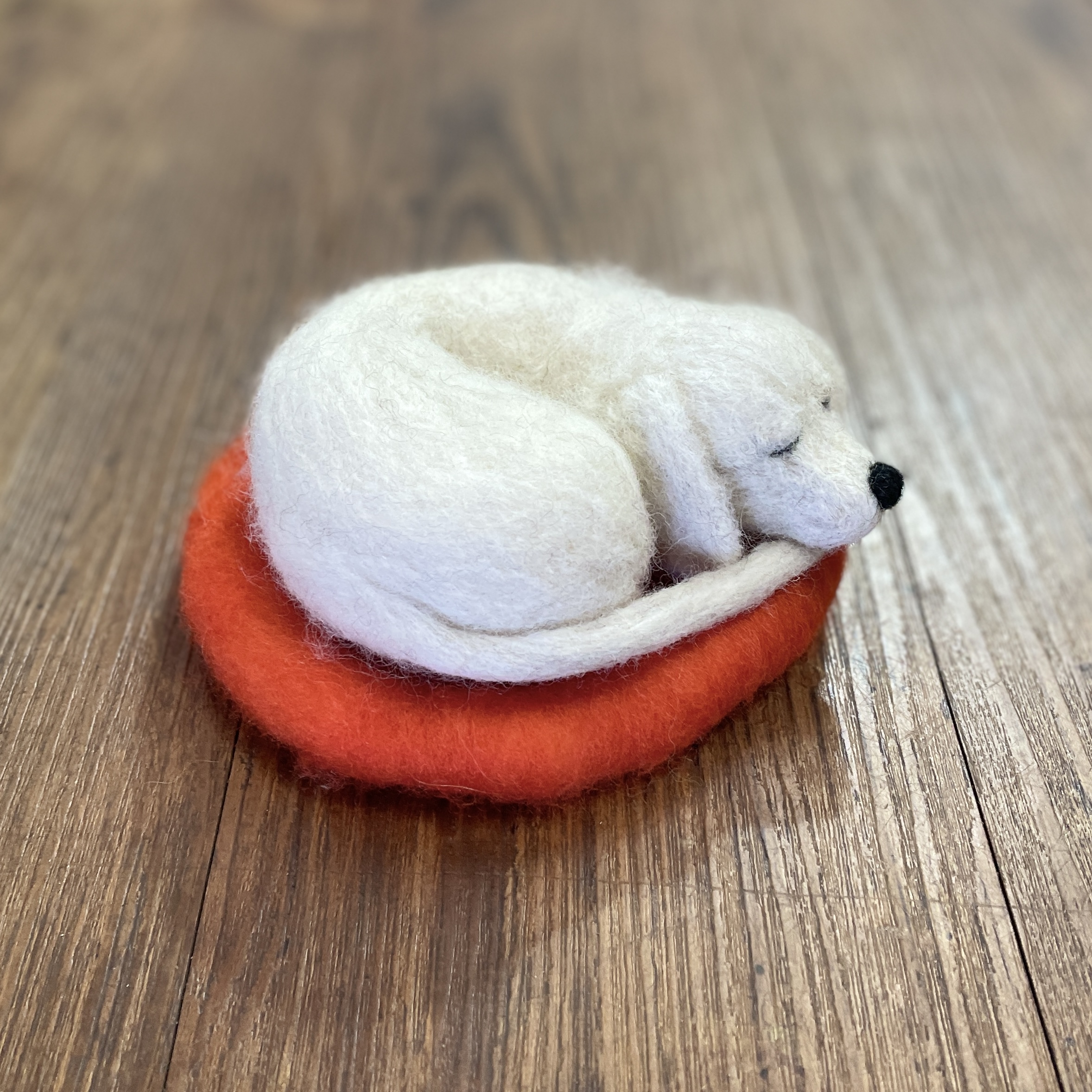 "SLEEPING PUPPY #25" ~ Needle Felted by Jan Woodhouse - Image 4