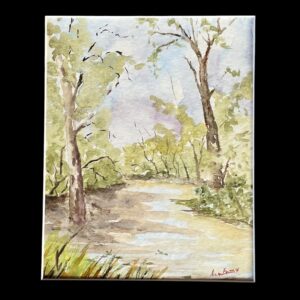 "CHARLEYS CREEK CHINCHILLA" ~ Original Watercolour Painting by Allan English