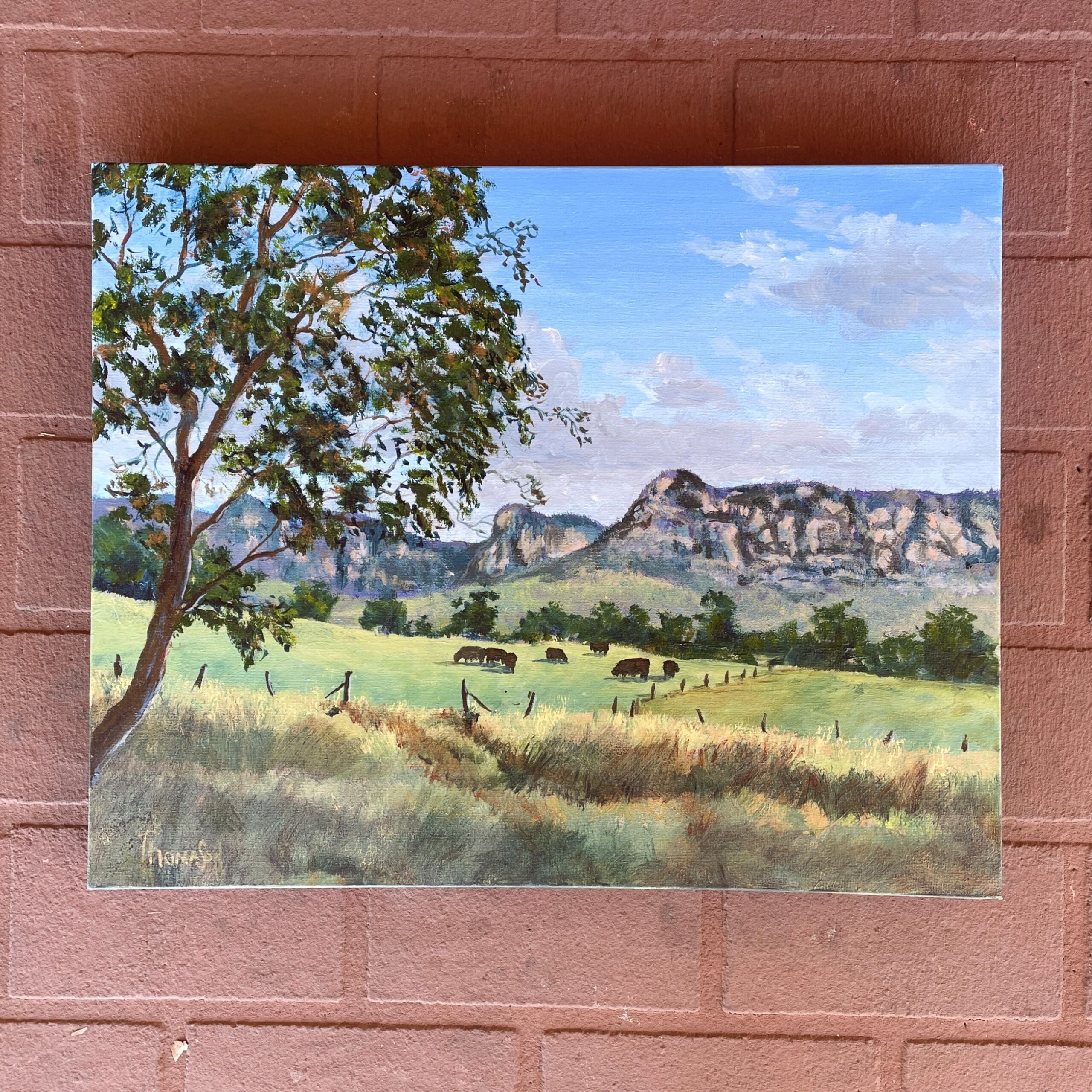 "CAPERTEE VALLEY" ~ Original Acrylic Painting by Tom Mason - Image 2