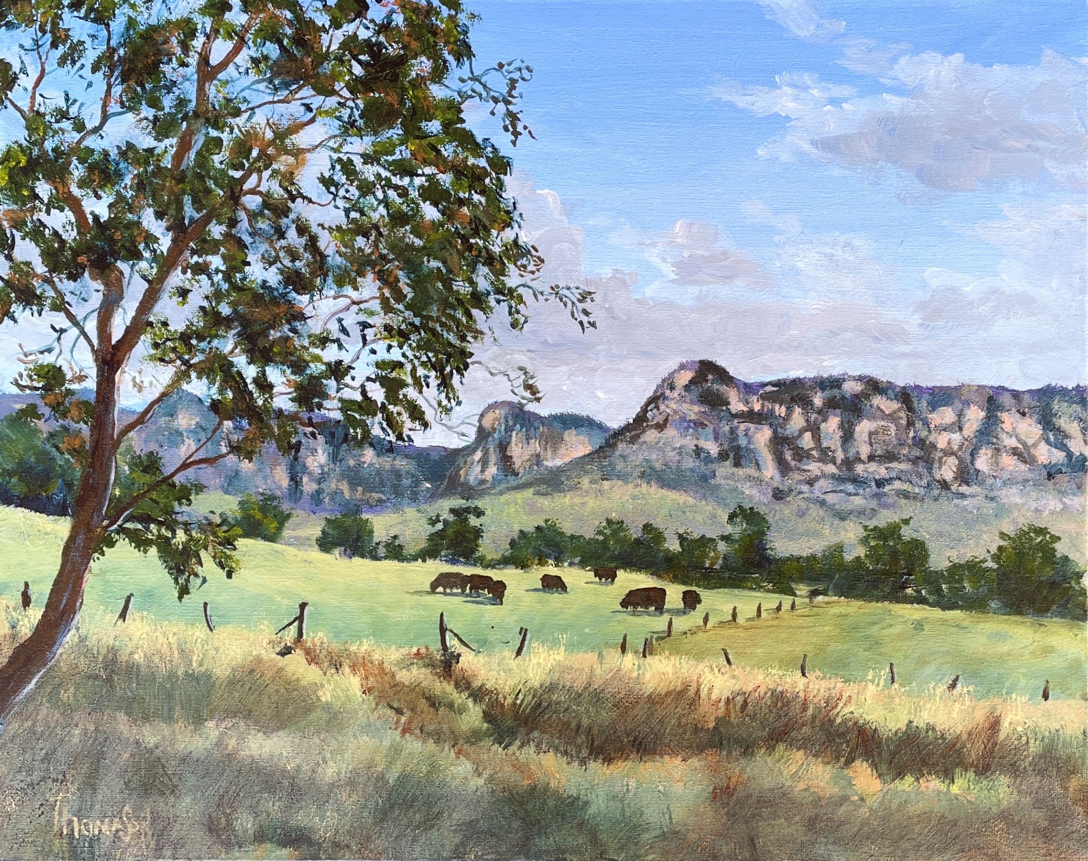 "CAPERTEE VALLEY" ~ Original Acrylic Painting by Tom Mason - Image 3