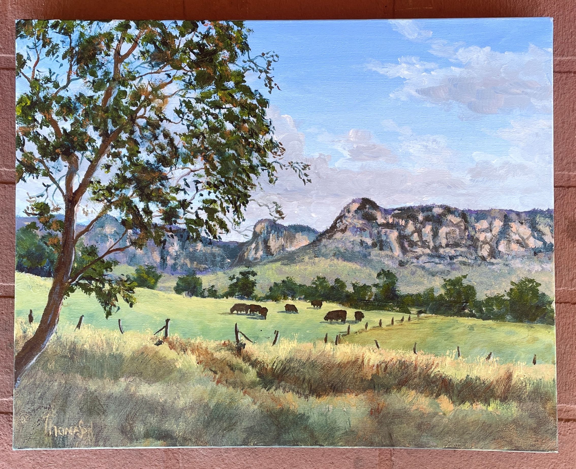 "CAPERTEE VALLEY" ~ Original Acrylic Painting by Tom Mason - Image 4