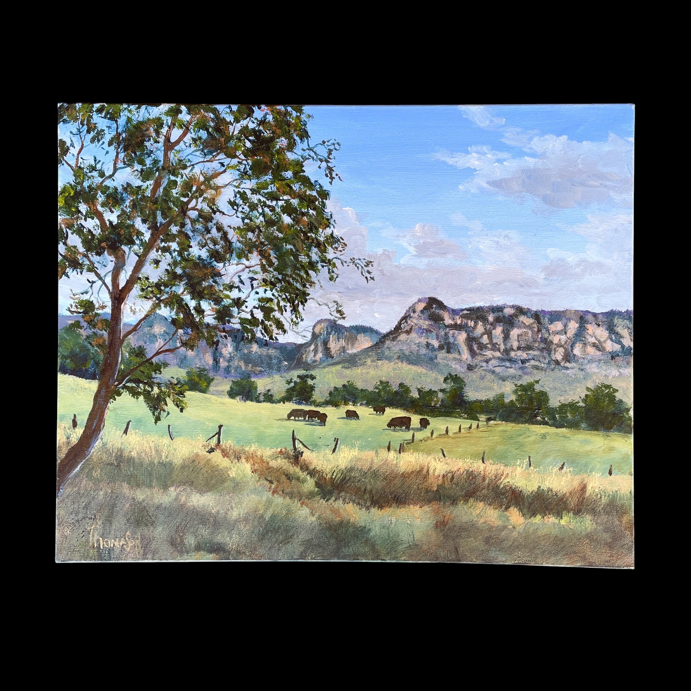 "CAPERTEE VALLEY" ~ Original Acrylic Painting by Tom Mason
