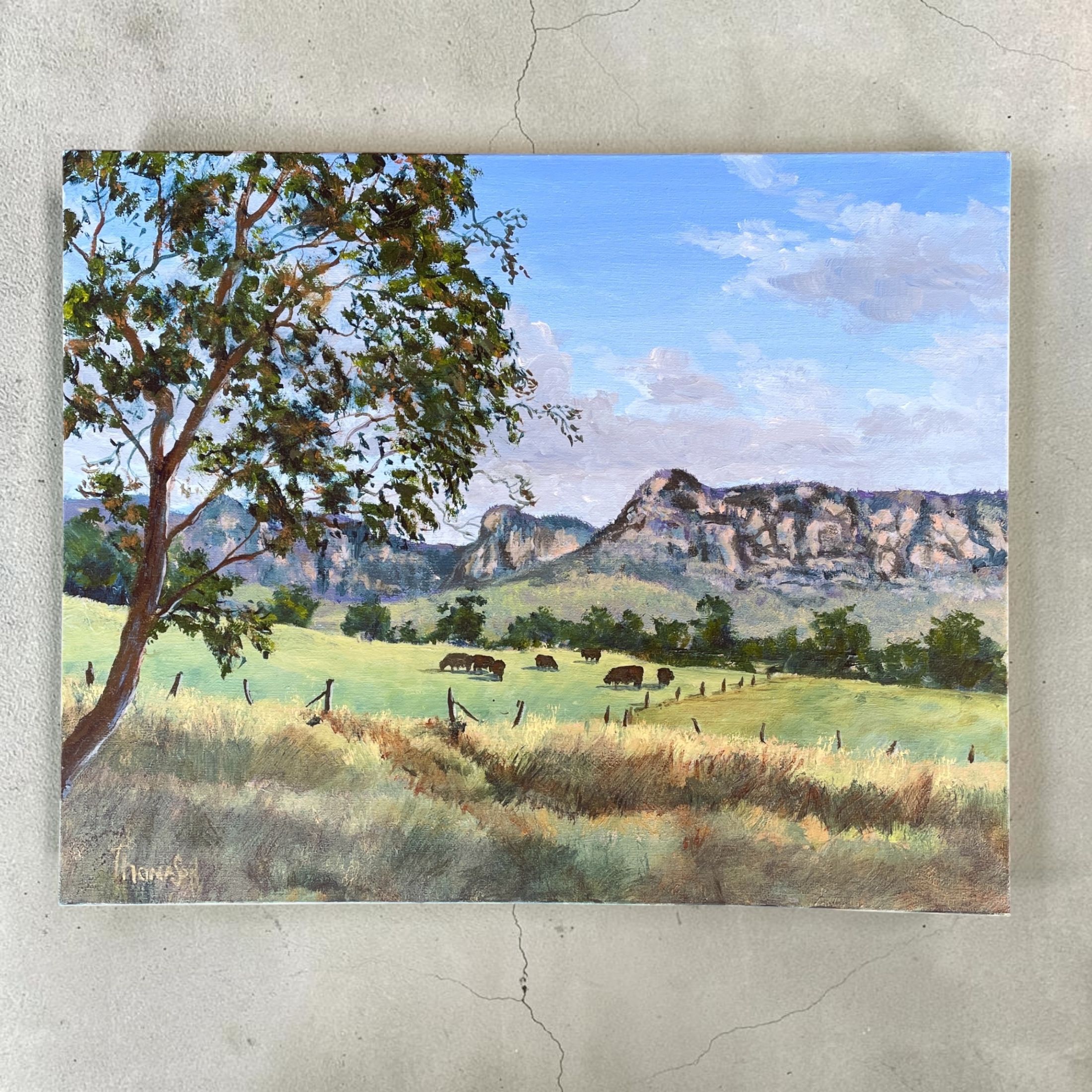 "CAPERTEE VALLEY" ~ Original Acrylic Painting by Tom Mason - Image 5