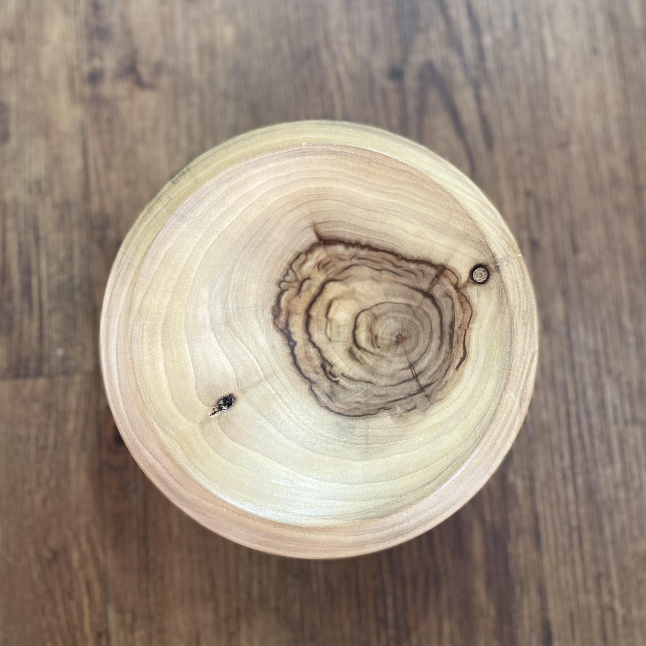 "HIGH FLAT BOWL" ~ in Camphor Laurel by Greg Skippen - Image 4