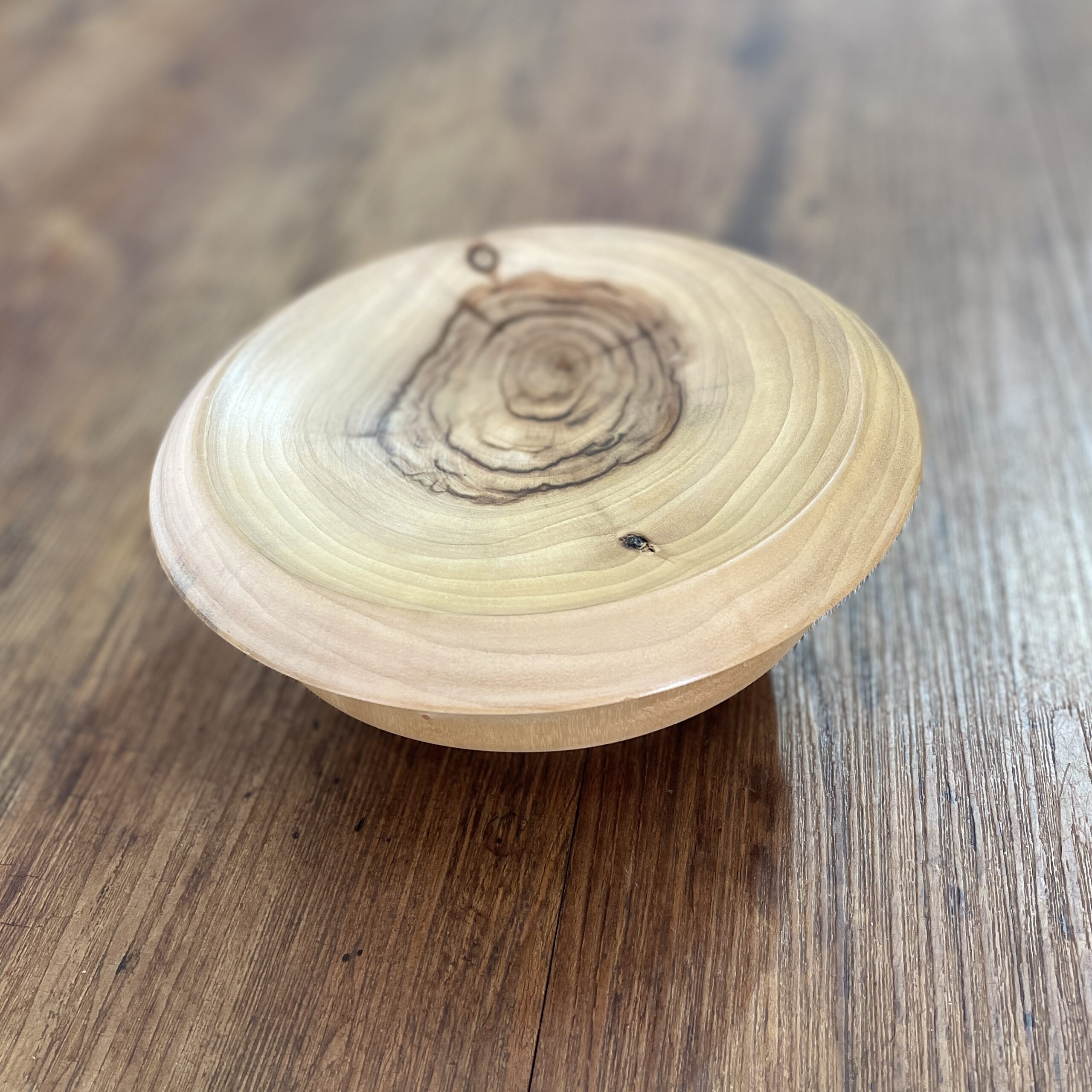 "HIGH FLAT BOWL" ~ in Camphor Laurel by Greg Skippen - Image 5