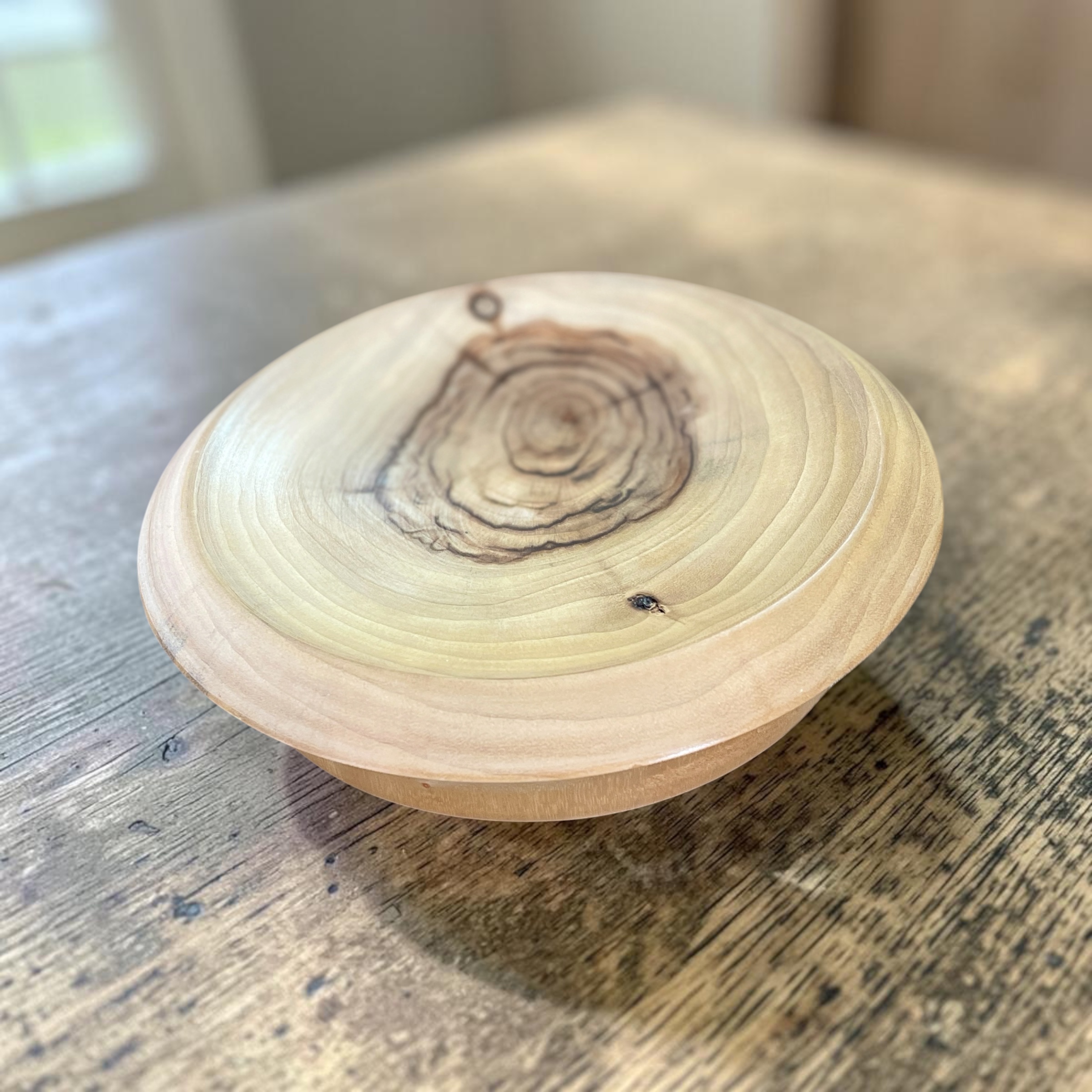 "HIGH FLAT BOWL" ~ in Camphor Laurel by Greg Skippen - Image 6