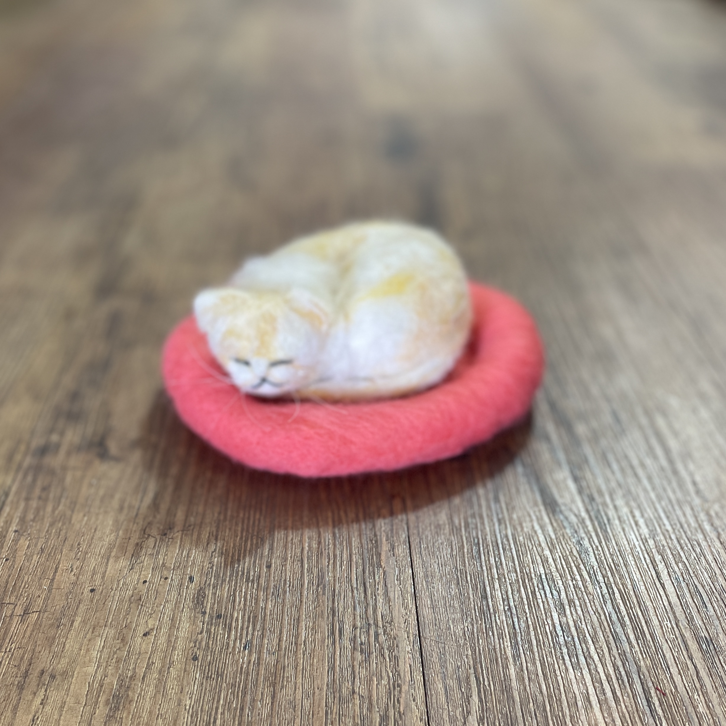 "SLEEPING KITTEN #29" ~ Needle Felted by Jan Woodhouse - Image 4