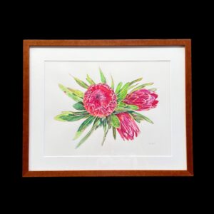 "PROTEAS" ~ Original Watercolour Painting by Chris Boughen