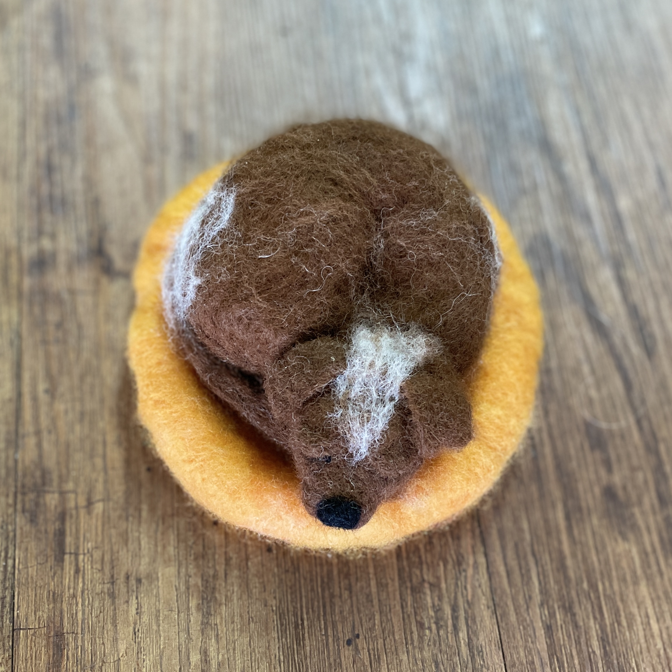 "SLEEPING PUPPY #26" ~ Needle Felted by Jan Woodhouse - Image 5