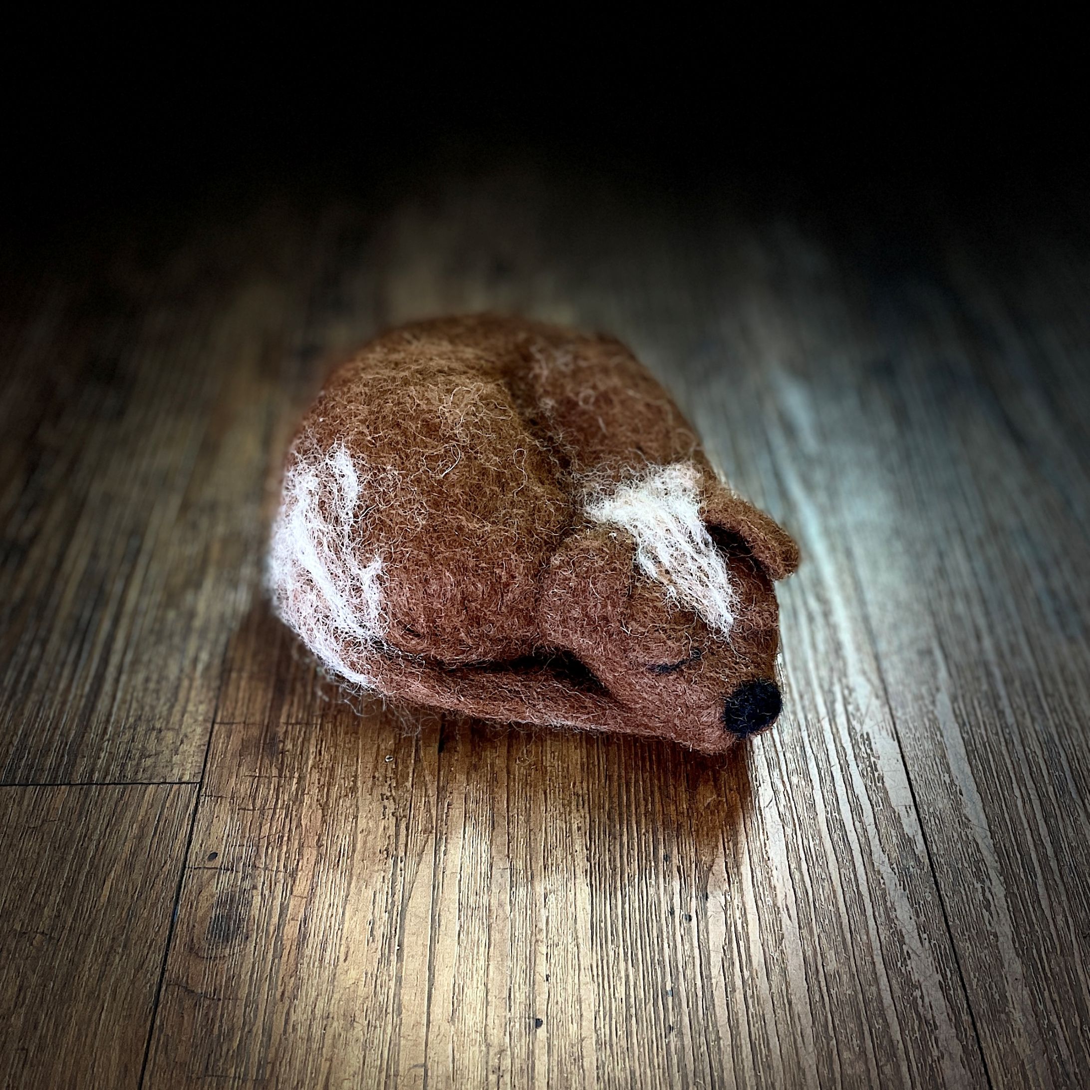 "SLEEPING PUPPY #26" ~ Needle Felted by Jan Woodhouse - Image 4
