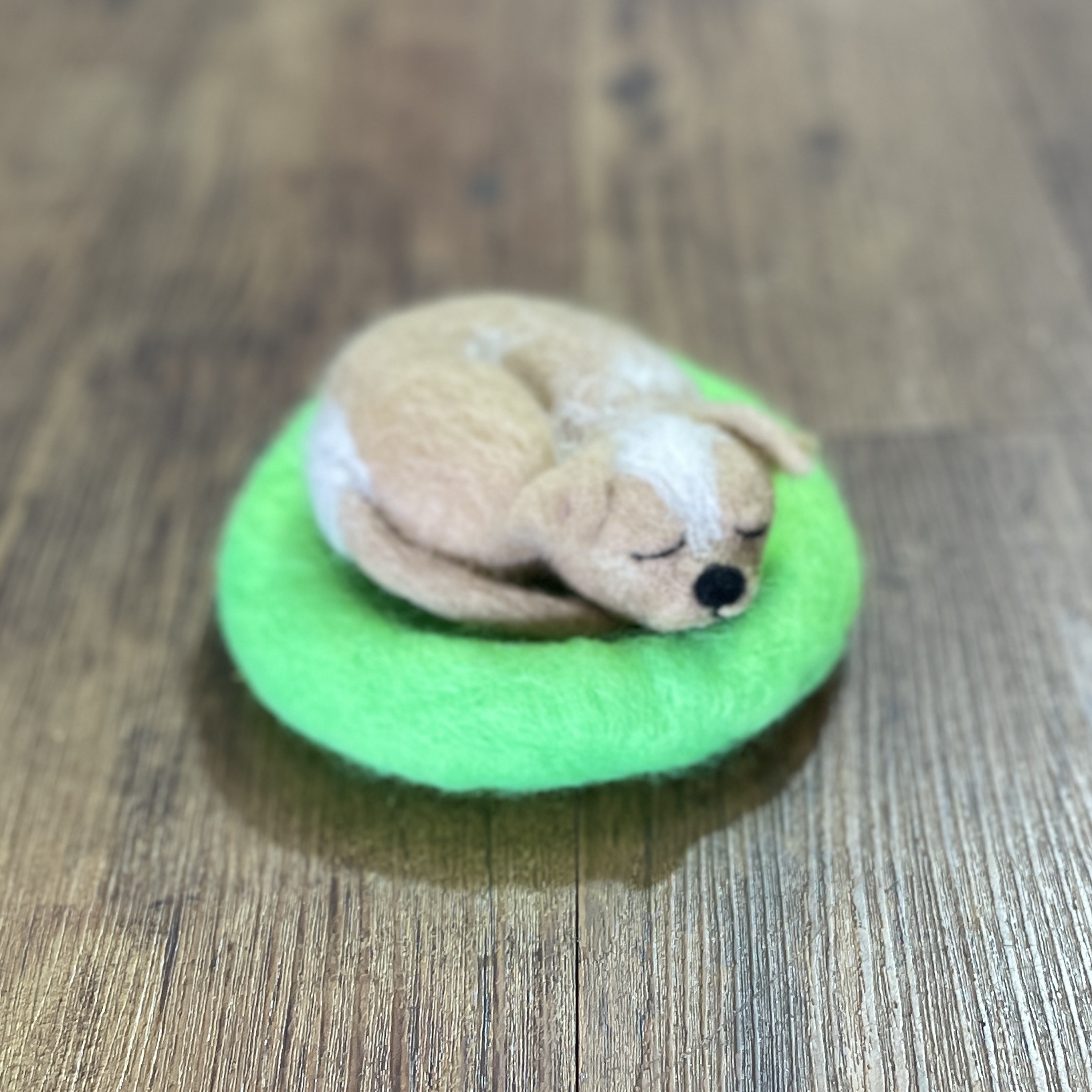 "SLEEPING PUPPY #27" ~ Needle Felted by Jan Woodhouse - Image 2