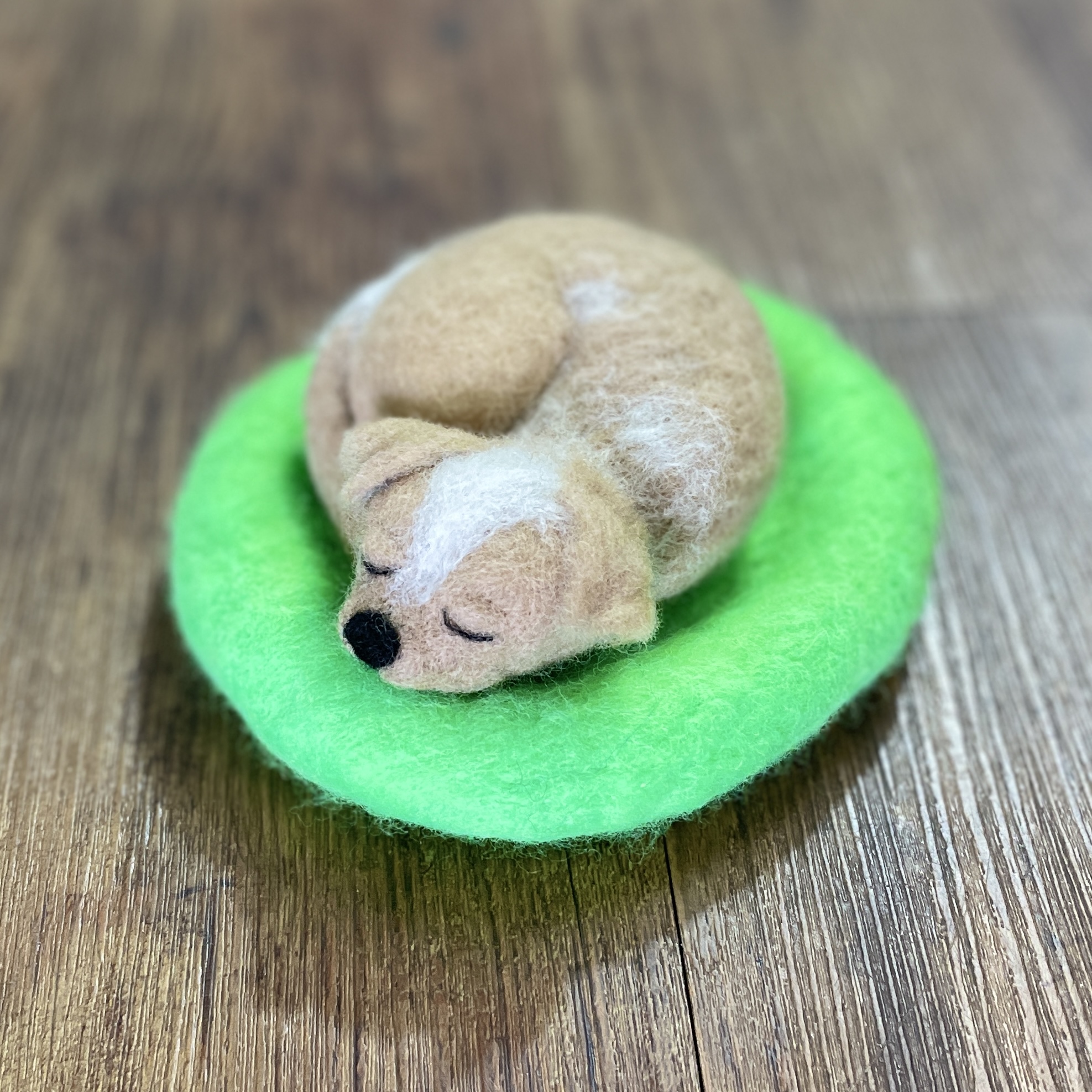 "SLEEPING PUPPY #27" ~ Needle Felted by Jan Woodhouse - Image 3