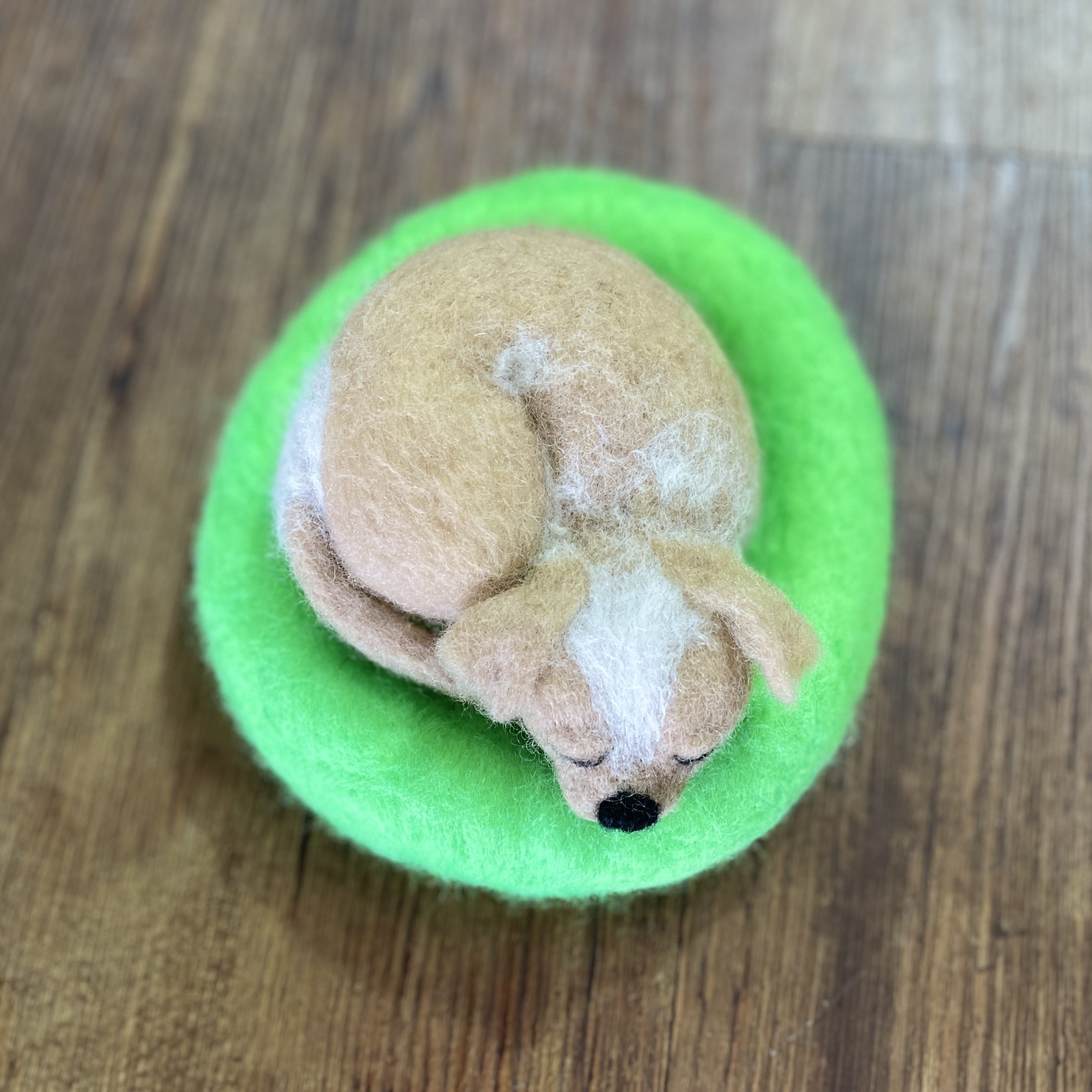 "SLEEPING PUPPY #27" ~ Needle Felted by Jan Woodhouse - Image 4