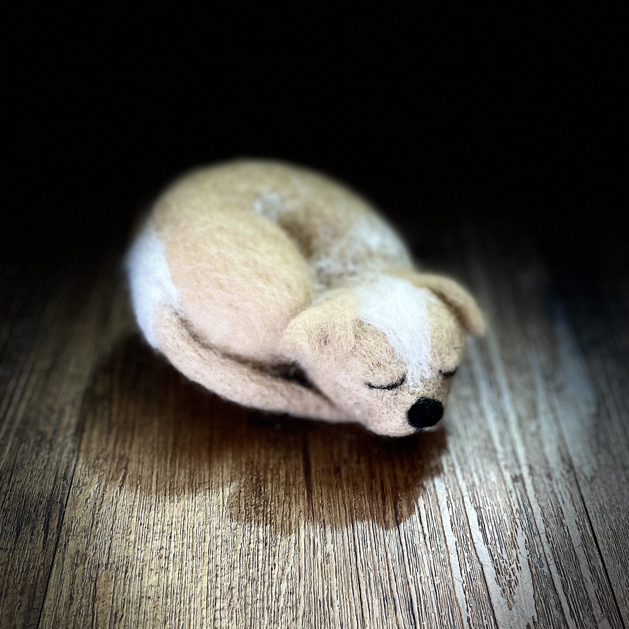 "SLEEPING PUPPY #27" ~ Needle Felted by Jan Woodhouse - Image 5